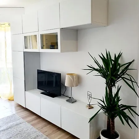 Apartment Bel A 50m De La Plage, 2 Pieces Climatisees, Parking Prive Antibes